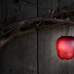 The Apple