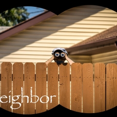 Neighbor