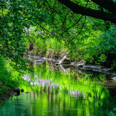 River in Spring Time II