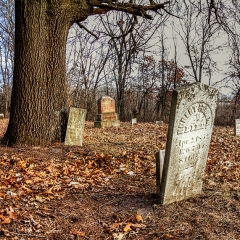 Forgotten Cemetery