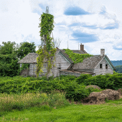 Nature Reclaiming a House