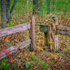 The Welcoming Gate