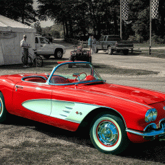 Vette